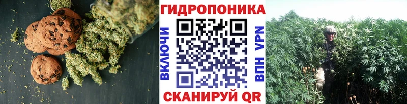 блэк спрут ссылка  Омск  Печенье с ТГК конопля 