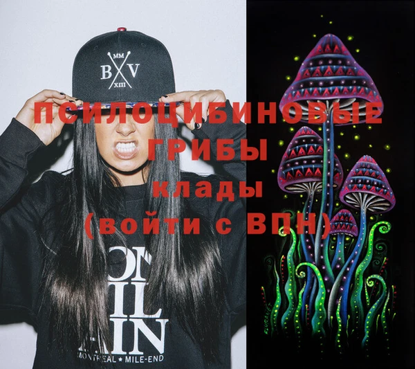 гидропоника Мегион