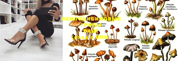 сатива Алексин