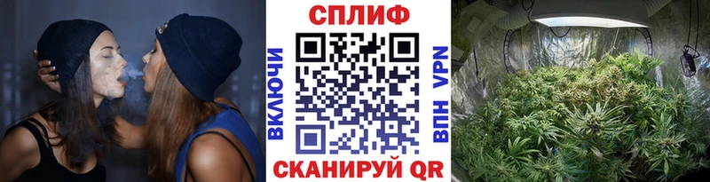 магазин продажи   Омск  Канабис семена 